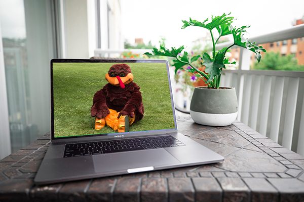 The HokieBird on a laptop screen