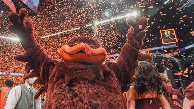 The HokieBird celebrating a basketball win