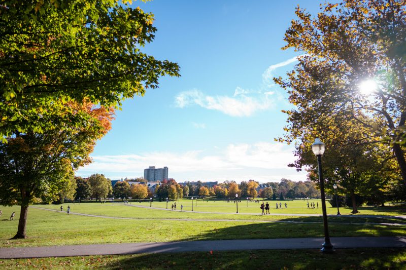 The Drillfield on a bright summer day