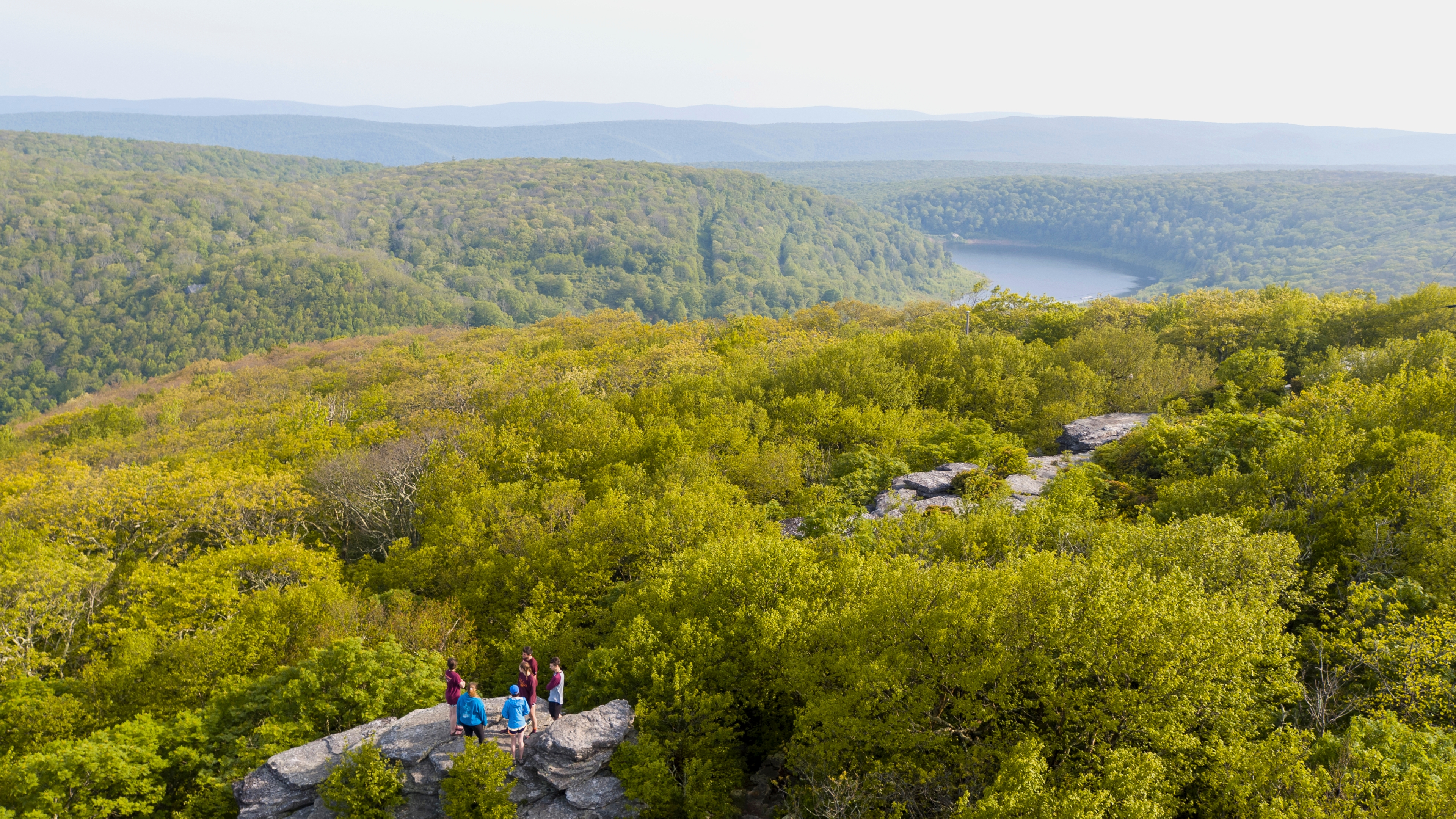 Explore the area's local parks