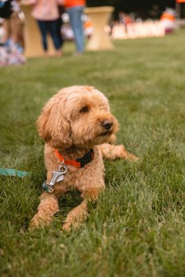 Hokies gather on the drillfield for food, music, and fun