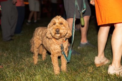 Hokies gather on the drillfield for food, music, and fun