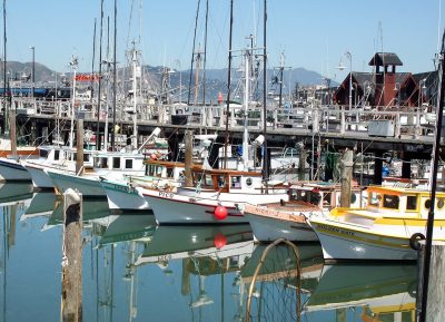 Fishing Boats Fisherman's Wharf, San Francisco, Ca